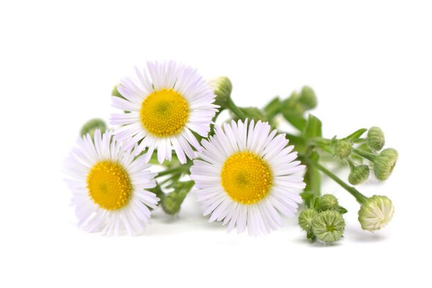 Brand Funese Rand contains a chamomile extract