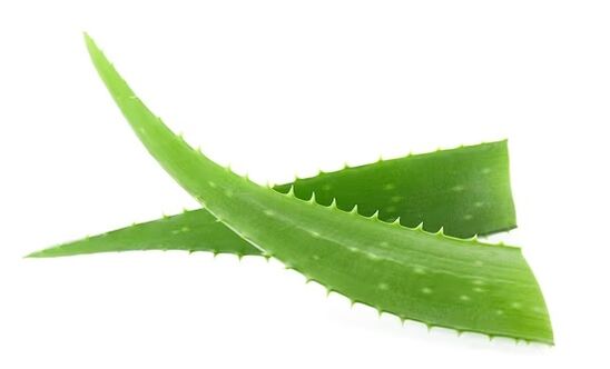 Brand Funese Rand contains aloe vera