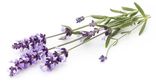 Brand Funese Rand contains lavender oil